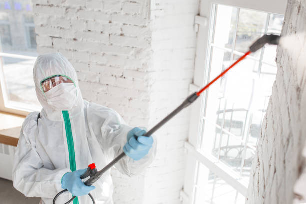 Best Asbestos and Lead Testing During Mold Inspection  in Trucksville, PA