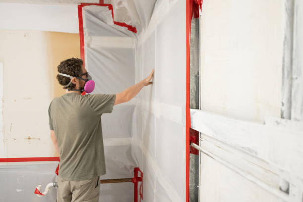 Best Mold Removal for HVAC Installations  in Trucksville, PA