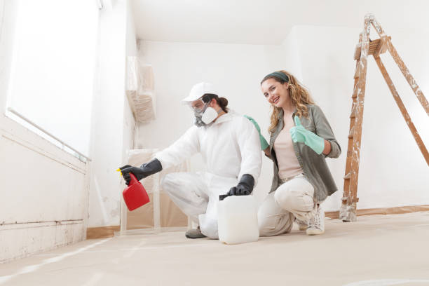 Mold Removal for HVAC Installations in Trucksville, PA